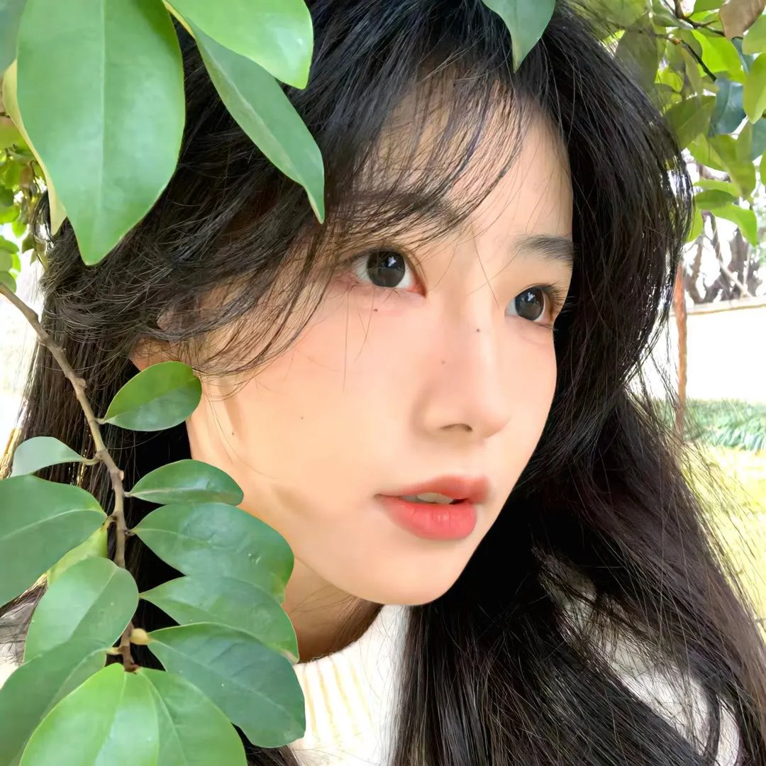 血爱成河