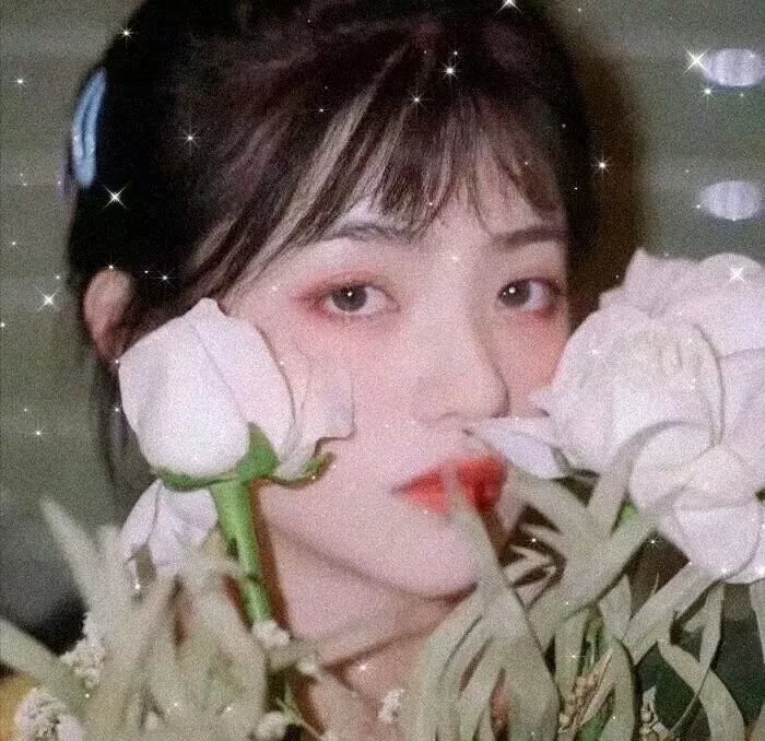 女朋友1955